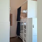 Tilia *